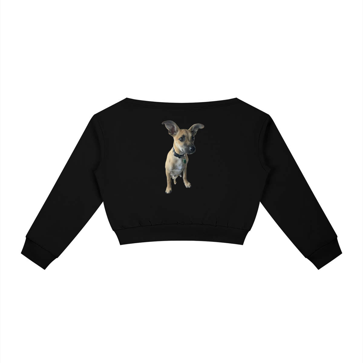 Women's Off-Shoulder Sweatshirt Edwardo Baconé