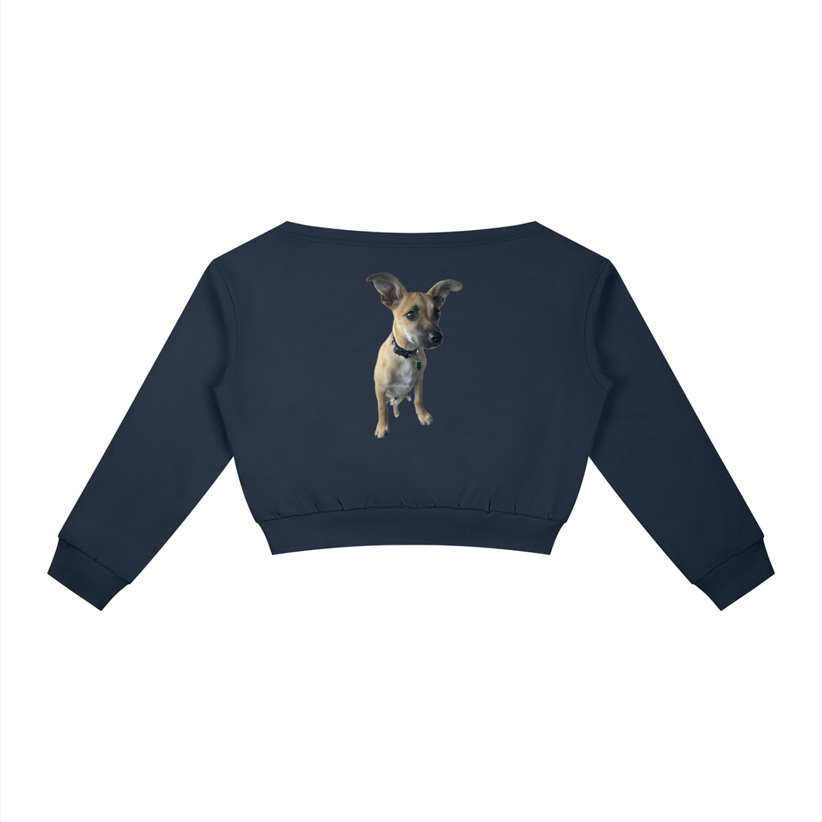 Edwardo Baconé women's sweatshir, dog print design