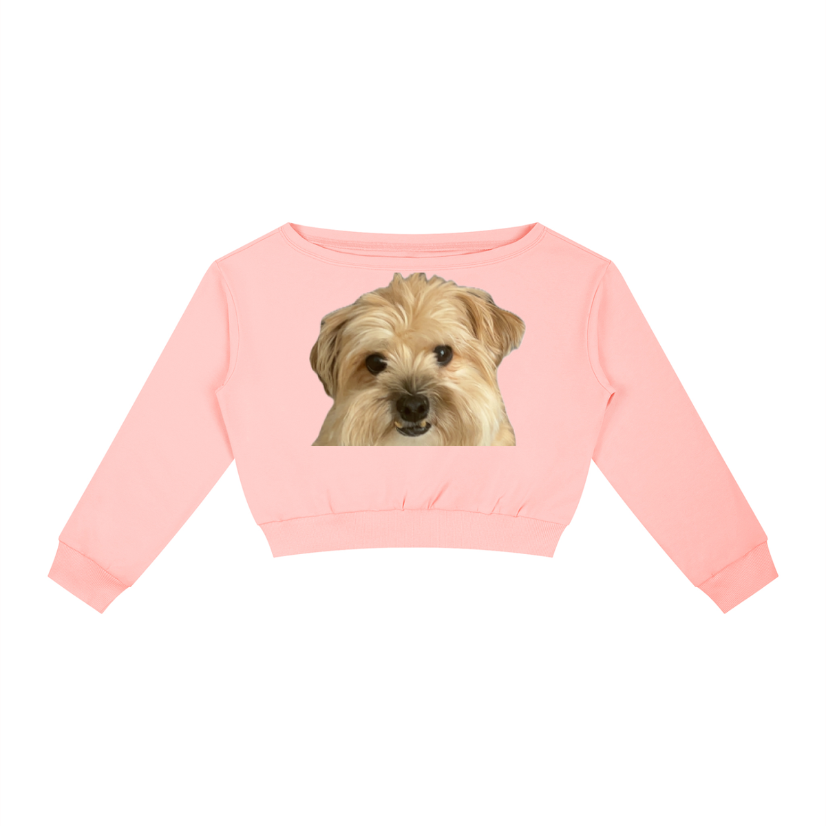Women's Off-Shoulder Sweatshirt Henry the dog