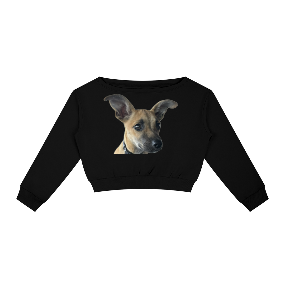 Edwardo Baconé women's sweatshir, dog print design