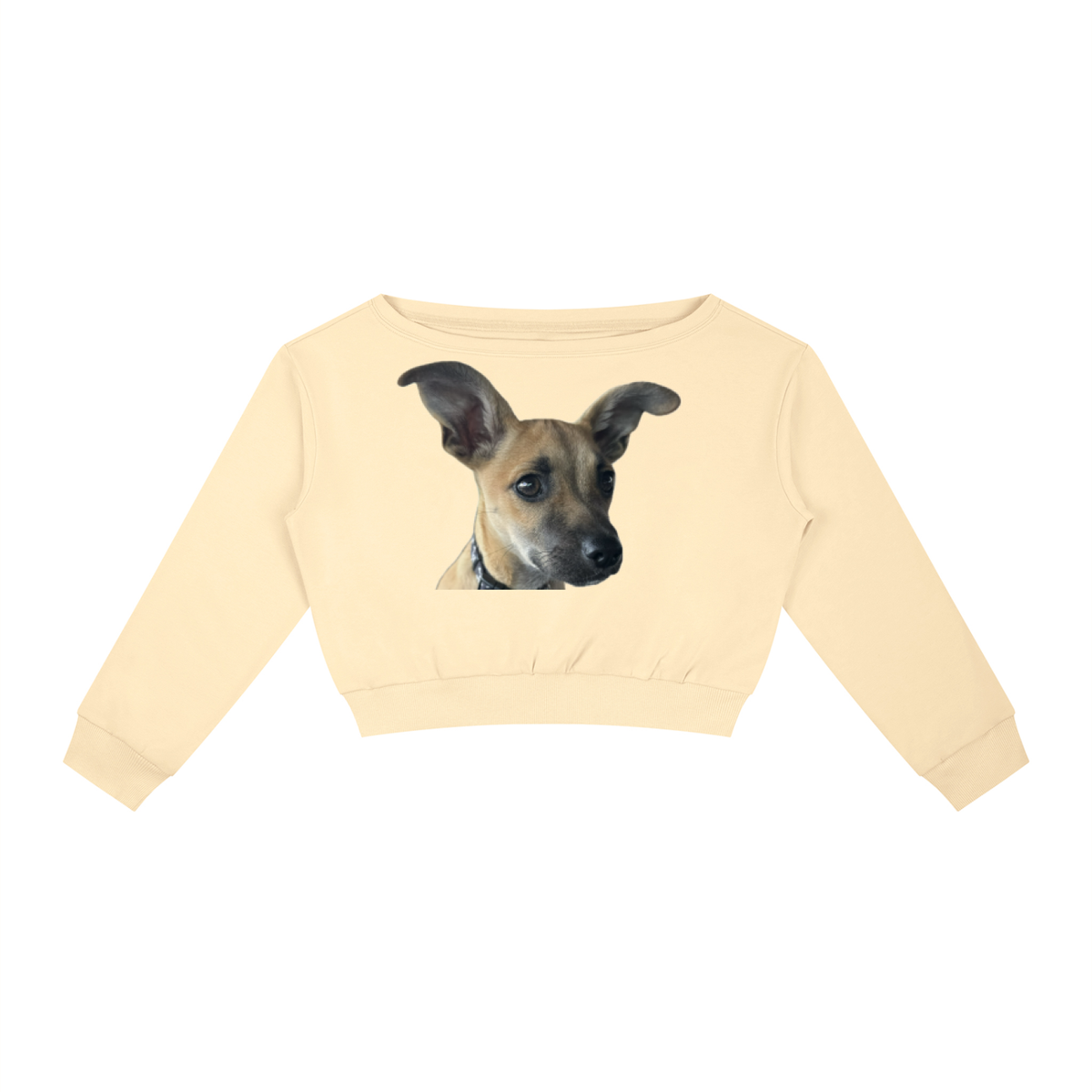 Edwardo Baconé women's sweatshir, dog print design